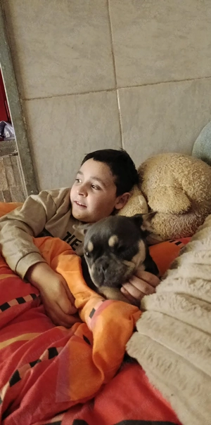 5 hónapos buci kislány.Gyerekek mellé kimondottan ajánlom! - kép 3