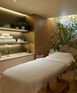 Svéd frissítő masszázs terapeuta Pécs  - kép 10