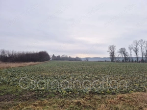 Babót - szántó eladó - kép 2