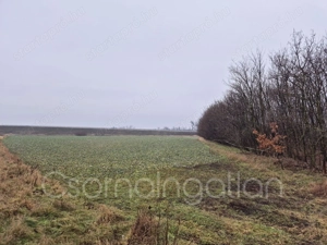 Babót - szántó eladó