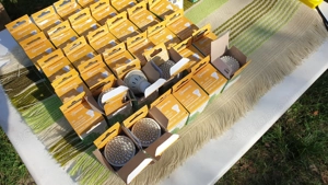 GU10 foglalatú LED izzó eladó, 42db, 3000K színű - kép 12