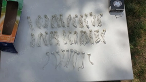 GU5.3 foglalat eladó, 35 db - kép 19