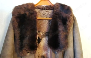 Eladó Pannónia irhabunda - kép 2