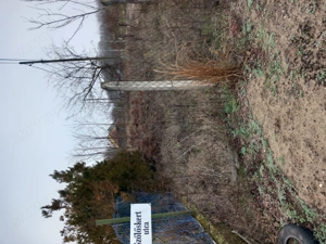 Pest megye Üllő városban eladó építési telekrészem - kép 3