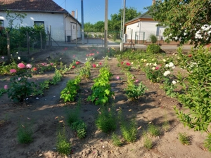 Pestmegye Üllő családi házas övezetében közműves építési telek eladó - kép 3