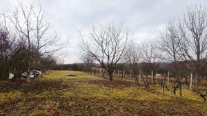 Börzsönyben Perőcsényben szép építési telek eladó - kép 6