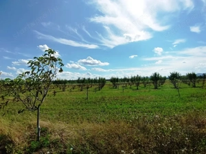 Eladó 8.2 Hektár mezőgazdasági terület Sződön a természet és a fejlődés határán.  - kép 16