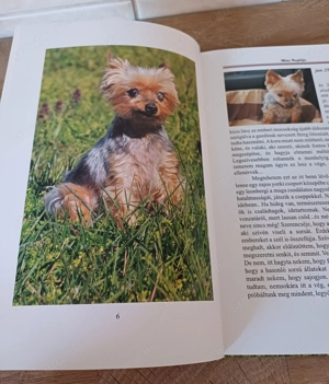 Balogh Márta: Mira naplója c. könyv eladó, ÚJ! Dedikált példány! - kép 6