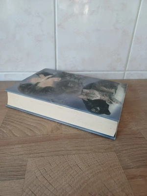 Megható állattörténetek - szerelmetes macskáim című könyv eladó - kép 5