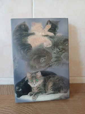 Megható állattörténetek - szerelmetes macskáim című könyv eladó - kép 4