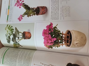 A nagy szobanövény lexikon c. könyv eladó. - kép 13