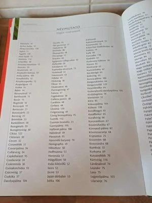 A nagy szobanövény lexikon c. könyv eladó. - kép 16