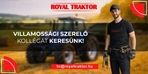 Gépjármű villamossági szerelő munkatárs