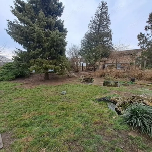 Monor 100 m2-es, 2 lakrészre kialakított családi ház 800 m2 telekkel - kép 12