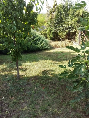 Felújított kétszobás felsőtárkányi családi ház. - kép 5