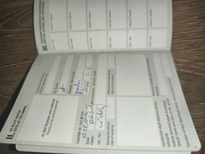 Eladó yorkshire terrier  - kép 9