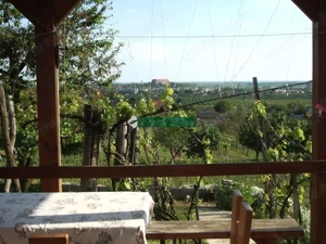 Lakható nyaralóház a siklósi hegyen - kép 4