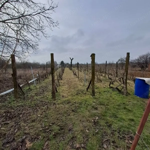 Monoron Orbán szobor közelében, 36 m2-es kisház, 1814 m2 telekkel - kép 12