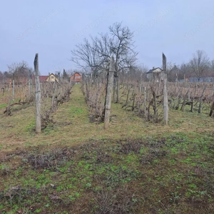 Monoron Orbán szobor közelében, 36 m2-es kisház, 1814 m2 telekkel - kép 11