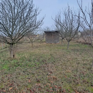 Monoron Orbán szobor közelében, 36 m2-es kisház, 1814 m2 telekkel - kép 10