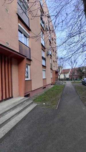 Zöldövezeti, klímás, kislakás hosszútávra kiadó! - kép 13