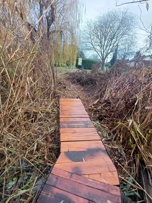 Dunavarsányban ház +stég 45mill Rsd part