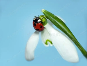 Munka lehetőségeket keresnék**