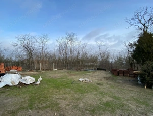 Kiskunhalas Alsóöregszőlőkben újjáépített 2 szoba + nappalis családi ház! - kép 16