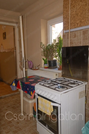 Szárföld - családi ház eladó 3 szoba + étkezővel  - kép 10