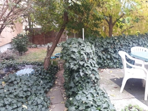  Egerben, strand -Érsekkert közeli , 2 szobás ,étkezős ,konyhás , alápincézett, garázsos ,  - kép 3