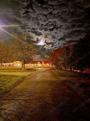 Eladó, Mezőhegyes István király utca 19, duplakomfortos családi ház - kép 14