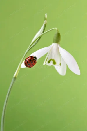 Munka lehetőségeket keresnék**