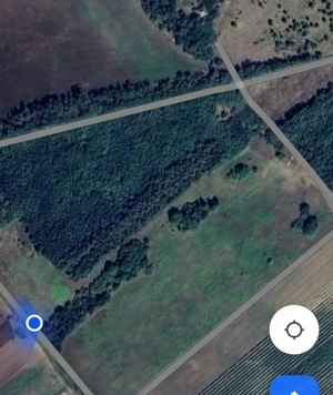 Cserkeszőlőn  nagy szép telek eladó fenyves mellett - kép 3