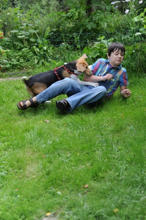 Nőstény Beagle kiskutya - kép 2