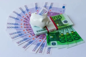 Kölcsönöket kínálunk: akár 75 000 000 eurós befektetésekre, nagyon egyszerű feltételekkel - kép 3