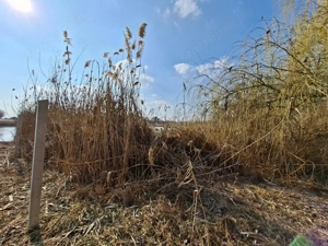 Tiszaugon vízparti ingatlan eladó. - kép 10