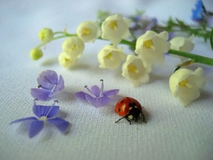 Munka lehetőségeket keresnék**