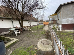 Kiskunhalas Jókai u. 2 szobás amerikaikonyhás kertkapcsolatos lakás! - kép 2