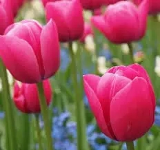 Masszázsmegálló a szárnyakat adó rohanásmegállító, idő- test- és lélektranszformátor  