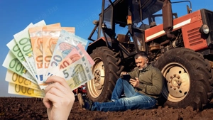 Top Hitelek: Alapok és Befektetés Projektfejlesztéshez - kép 3