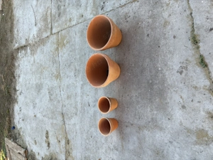 Eladó virág cser p j