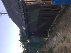  Gyümölcsös hétvégi kert eladó Körmenden   900 m , villany, kút, 40 gyümölcsfa, egyedi l - kép 5