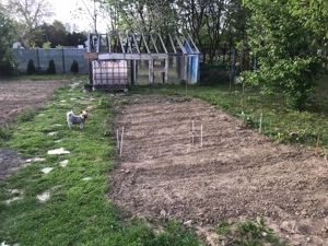  Gyümölcsös hétvégi kert eladó Körmenden   900 m , villany, kút, 40 gyümölcsfa, egyedi l - kép 4