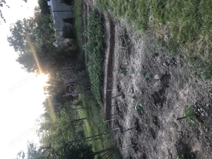  Gyümölcsös hétvégi kert eladó Körmenden   900 m , villany, kút, 40 gyümölcsfa, egyedi l - kép 2