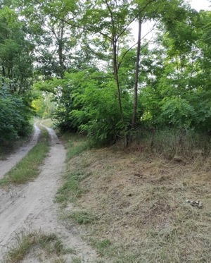 Kiskunmajsa Marispusztán 2 épületből álló tanya eladó! - kép 4