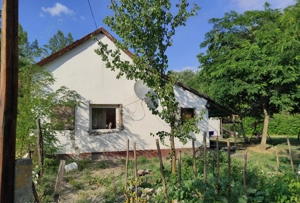 Kiskunmajsa Marispusztán 2 épületből álló tanya eladó! - kép 3