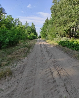 Kiskunmajsa Marispusztán 2 épületből álló tanya eladó! - kép 5