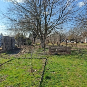 Monor zártkerti részén, 60 m2-es ház 2010 m2-es telekkel - kép 14