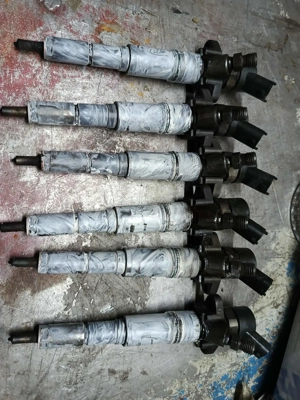 Futó illatos Jácintbabehető