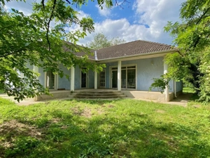 Nagy telek, lakóház és istálló   sokoldalú birtok eladó - kép 11